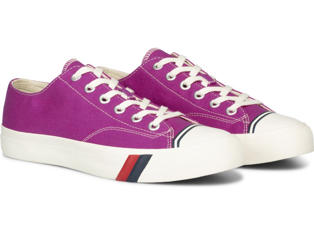 Pánské Tenisky Keds Royal Lo Platene Fuschia | CZ-77410