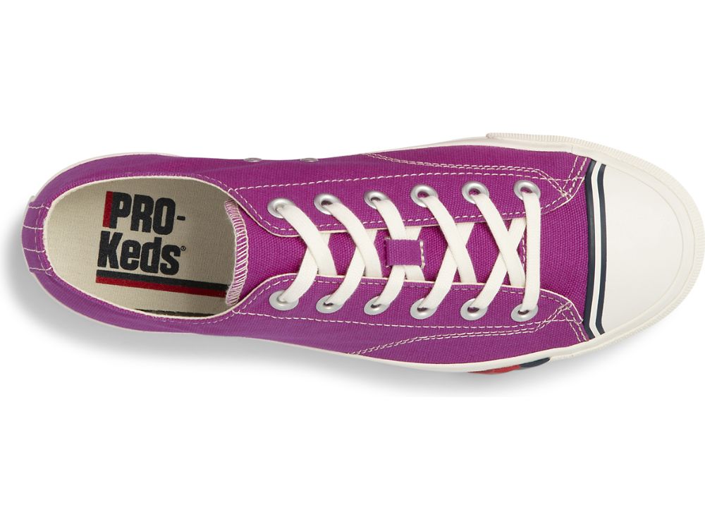 Pánské Tenisky Keds Royal Lo Platene Fuschia | CZ-77410