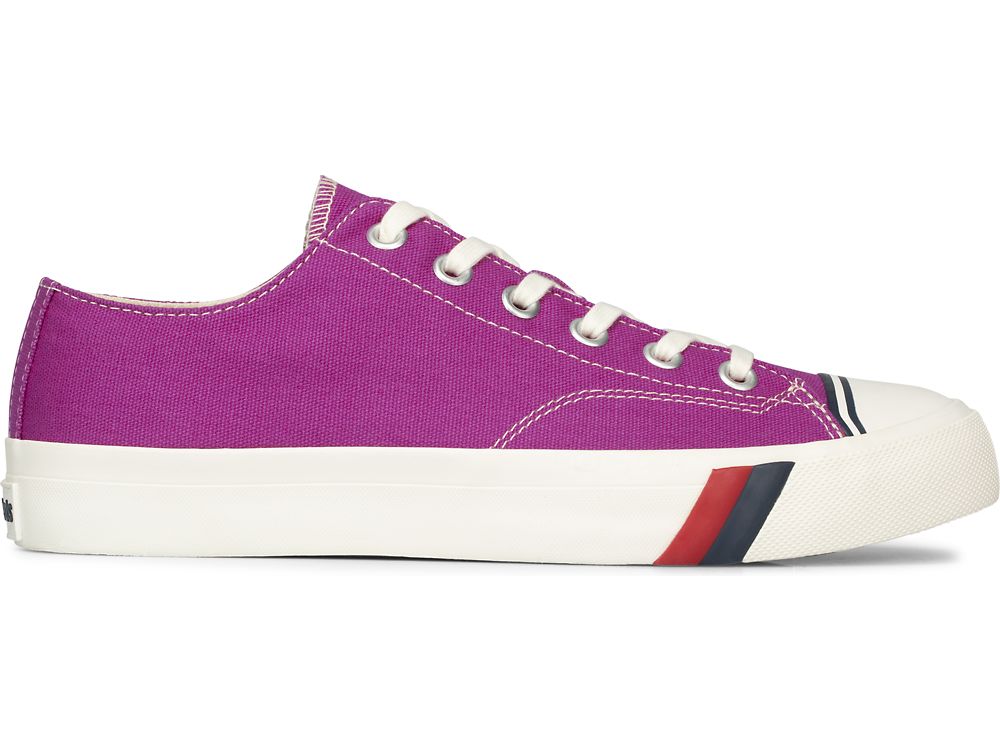 Pánské Tenisky Keds Royal Lo Platene Fuschia | CZ-77410